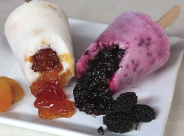 Paleta Mexicana de Iogurte e Frutas Paleta Mexicana de Iogurte e Frutas