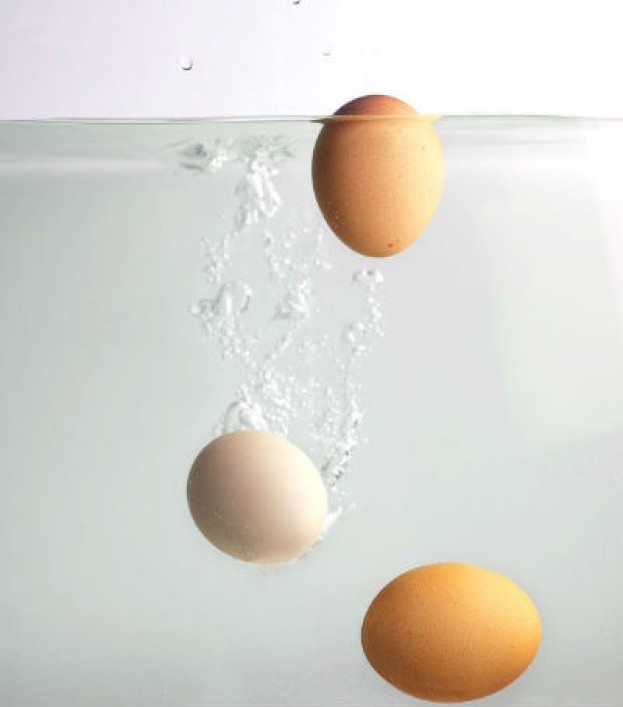 Teste o frescor dos ovos