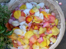 Salada de pétalas de rosas