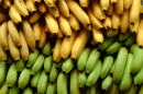 Usos da Banana: aproveite todas as fases da fruta!