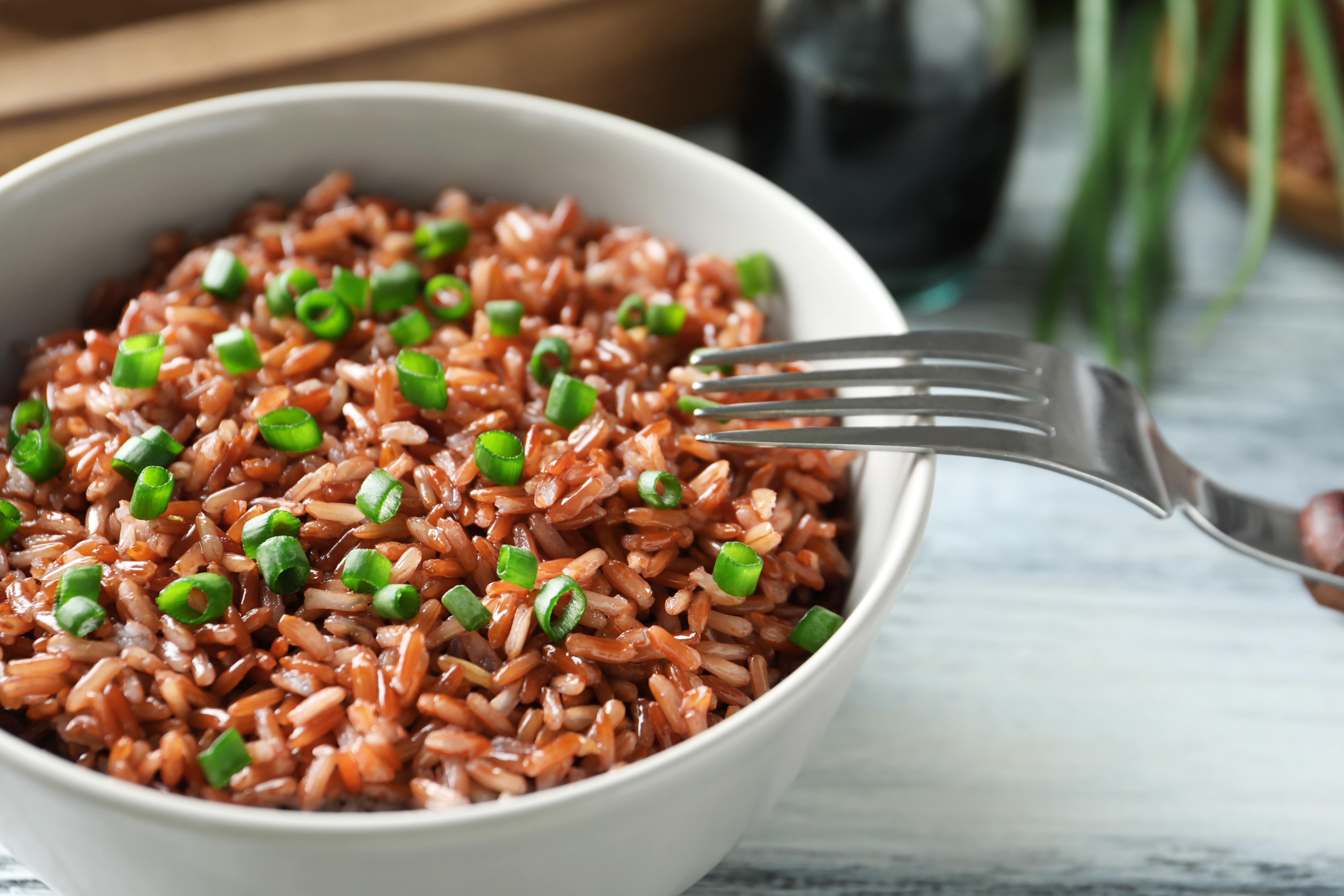 Receita De Arroz: 6 Tipos De Grãos Para Inovar E Surpreender... | CyberCook