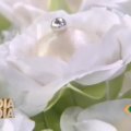 Docinhos Pérolas de Coco