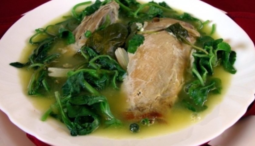 Pato no Tucupi Pato no Tucupi