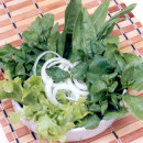 Salada Verde com Hortelã