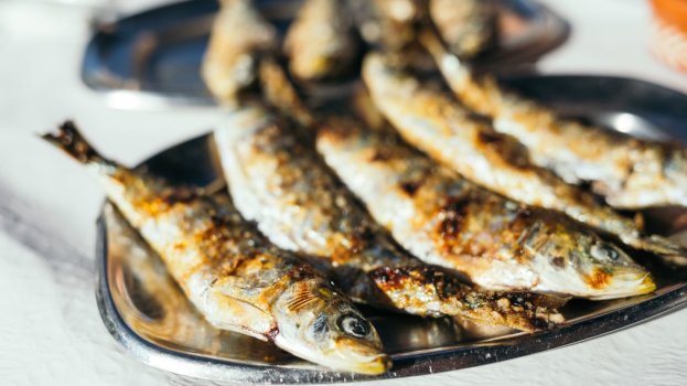 sardinhapaneladepressão/cybercook