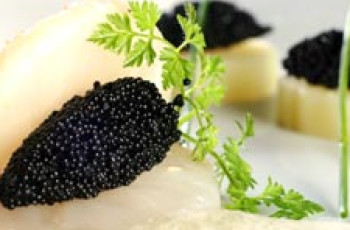 Camarões com Caviar