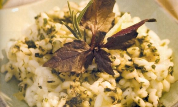 Risoto de Ervas Risoto de Ervas
