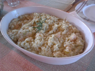 beatrz regina nedel chassot