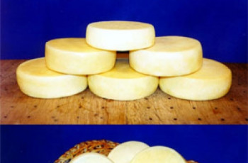 Conhecendo mais os queijos