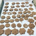 Biscoito vegano para cachorro
