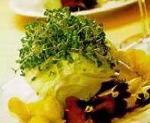 Salada Verde com Amor-perfeito