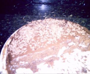 Bolo Prestígio cremoso Bolo Prestígio cremoso