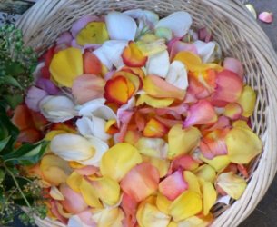 Salada de pétalas de rosas