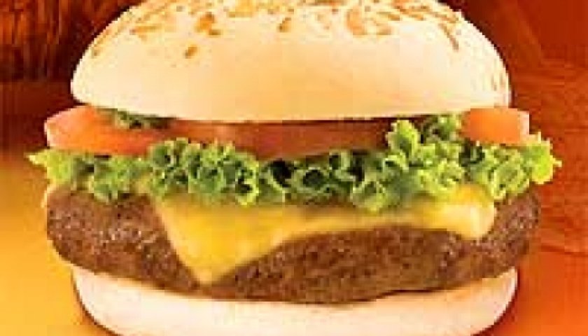 X burger floripa