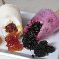 Paleta Mexicana de Iogurte e Frutas