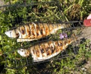 Peixe Grelhado