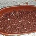 Amendoim Doce de Microondas
