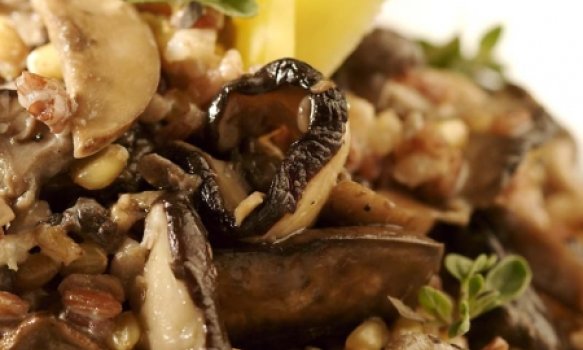 Risoto de Grãos com Cogumelos frescos Risoto de Grãos com Cogumelos frescos