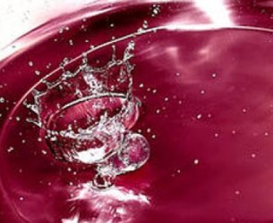 Suco de uva ou Sangria de uva