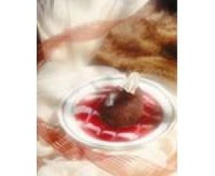 Mousse de Chocolate Diet