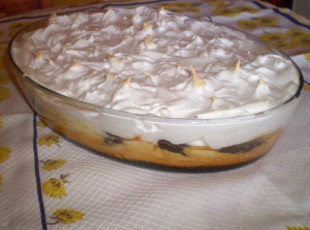 Micheli Terezinha Fiorentin