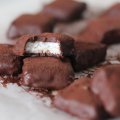 Barrinha de Coco e Chocolate sem Açúcar