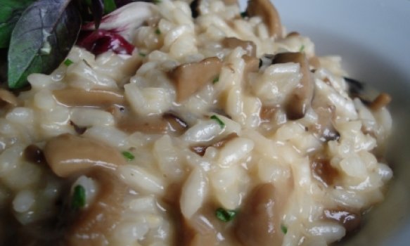 Risoto de Champignon Risoto de Champignon