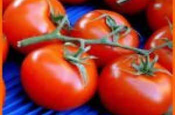 Extrato de Tomate