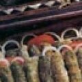 Charutinhos de Repolho (Mehchi mahfuf)