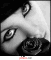 elaine machado
