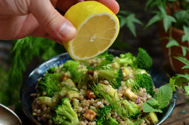 saladalimao/cybercook