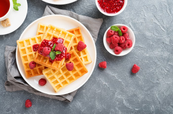 Waffle de Geleia de Frutas Vermelhas com Iogurte de Soja