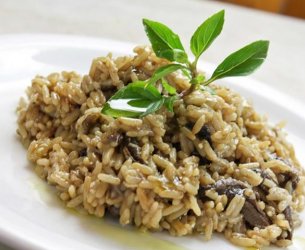 Risoto ao Funghi Risoto ao Funghi