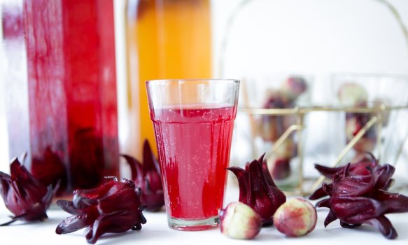 kombuchahibisco/cyebrcook