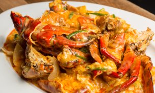 por Fernanda Wachter