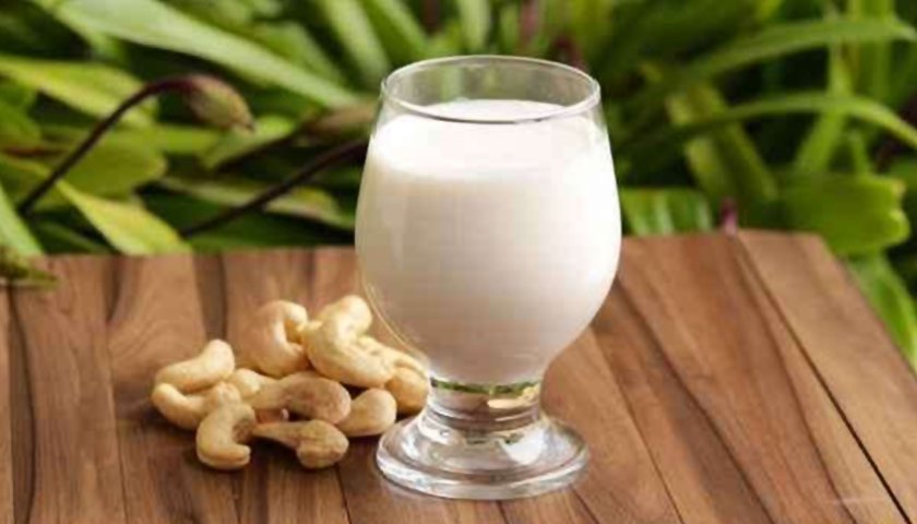 Leite de castanha de caju Leite de castanha de caju
