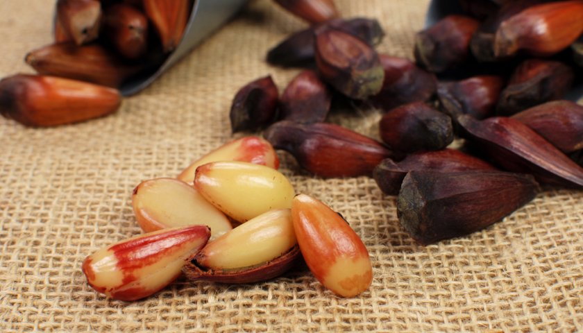 Paçoca de Pinhão Paçoca de Pinhão